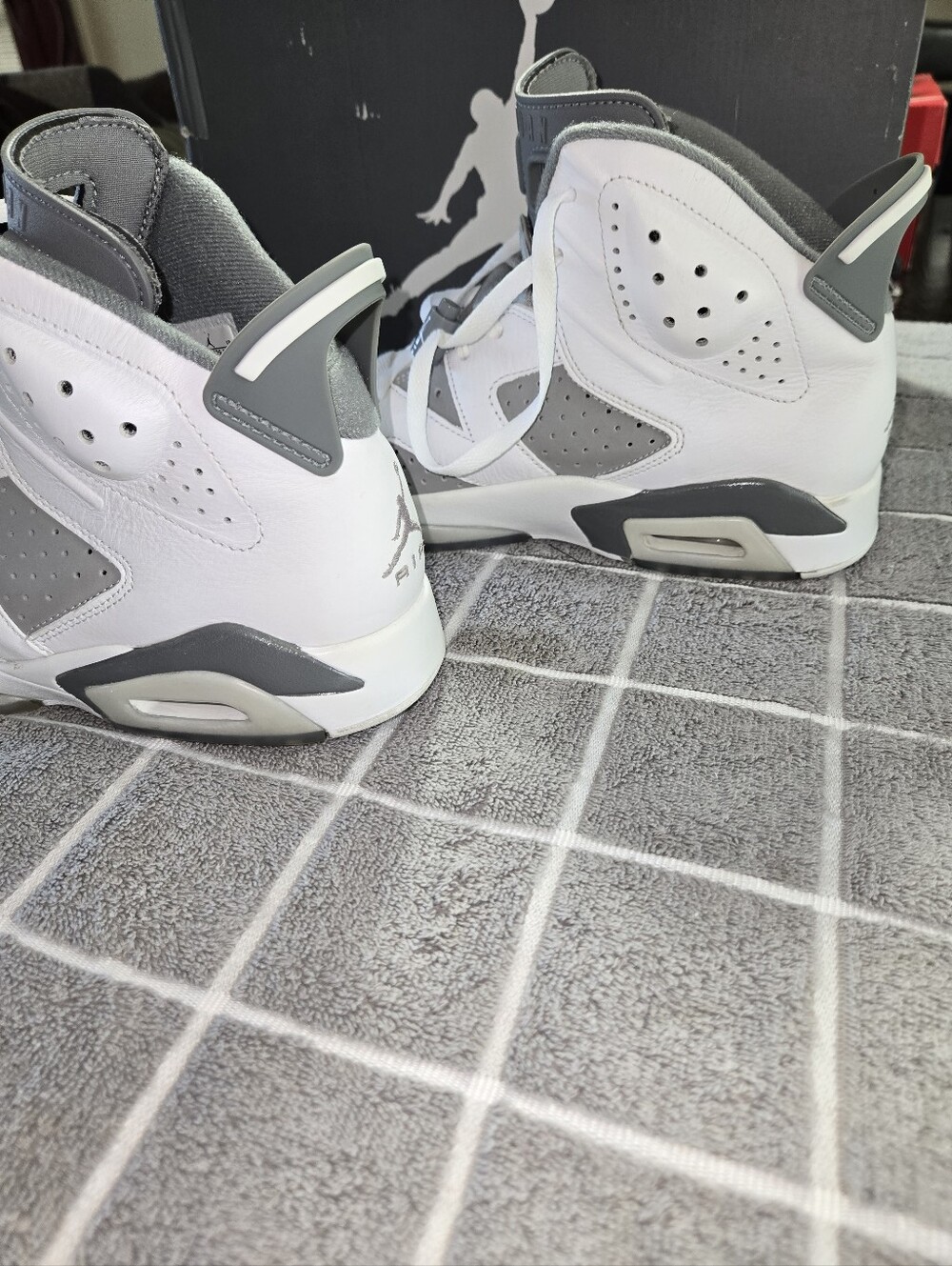 Jordan 6 most commonly refers to the Air Jordan 6 Retro 'Cool Grey'